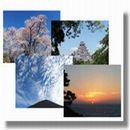 写真整理、写真編集
