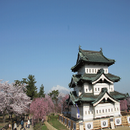 趣味講座、写真整理、旅行